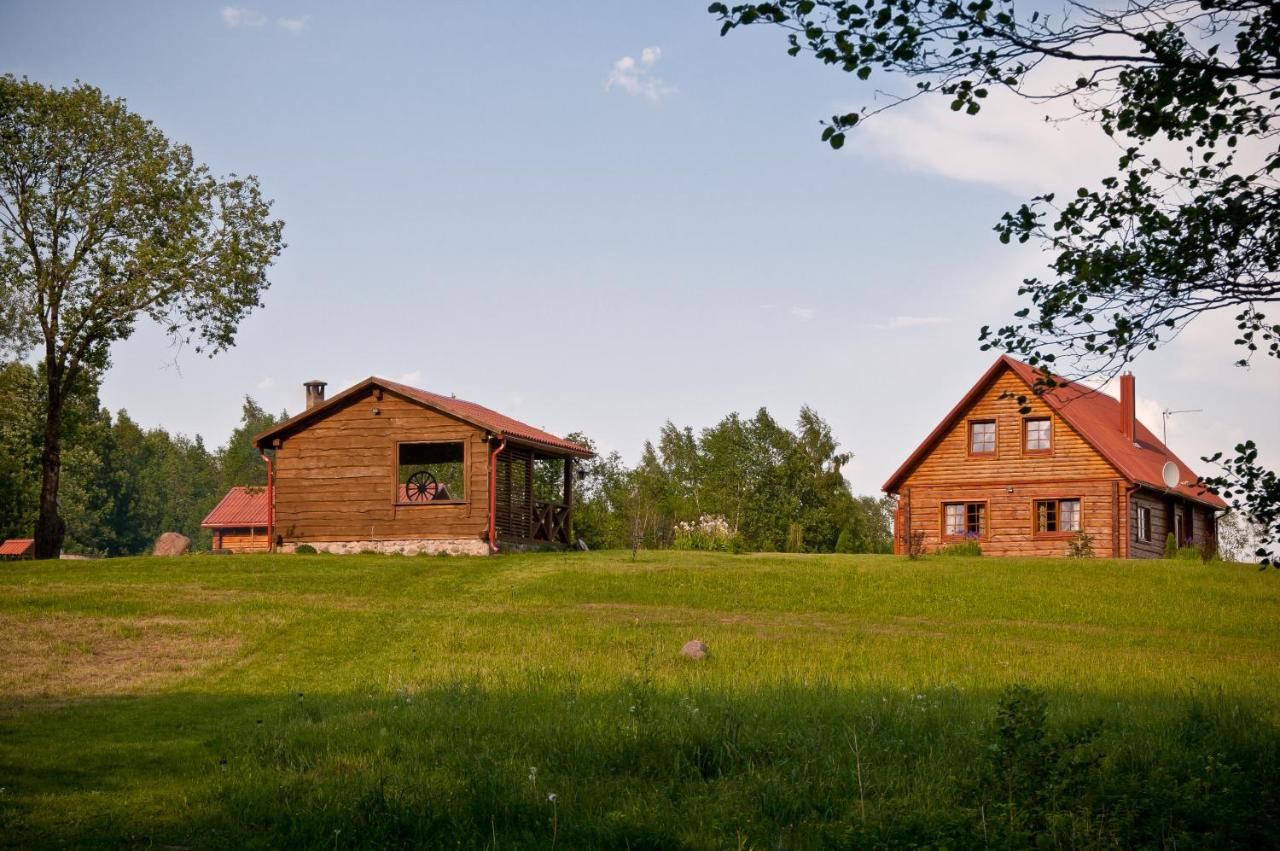 Загородные дома Adomo Sodyba Дубингяй-19